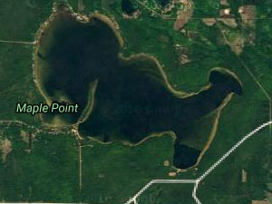 Douglas Lake Homes and Land for Sale